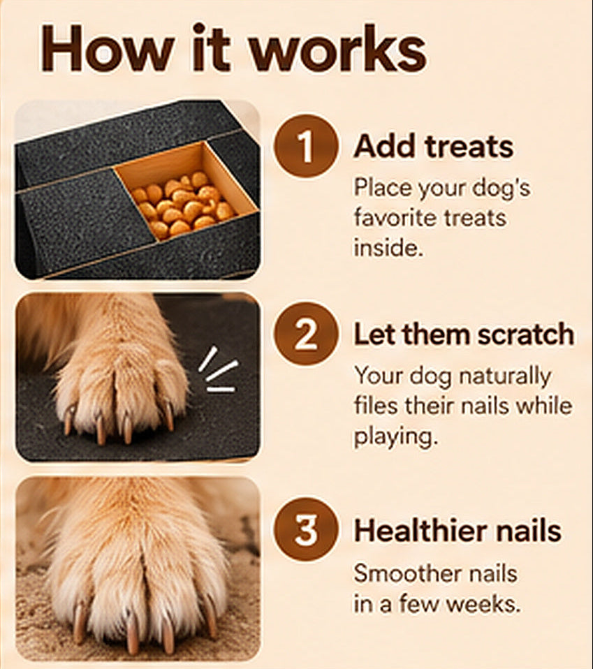 How the dog nail filing board works